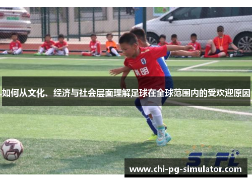 如何从文化、经济与社会层面理解足球在全球范围内的受欢迎原因