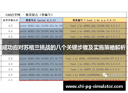 成功应对苏格兰挑战的八个关键步骤及实施策略解析 成功应对苏格兰挑战的八个关键步骤及实施策略解析