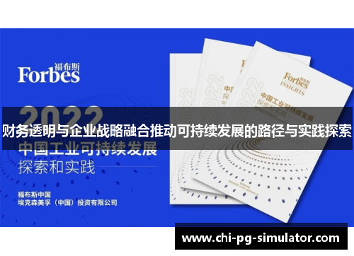 财务透明与企业战略融合推动可持续发展的路径与实践探索