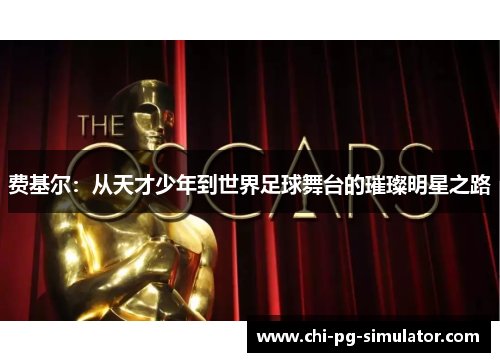 费基尔：从天才少年到世界足球舞台的璀璨明星之路