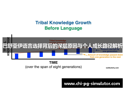 巴舒亚伊语言选择背后的深层原因与个人成长路径解析 巴舒亚伊语言选择背后的深层原因与个人成长路径解析