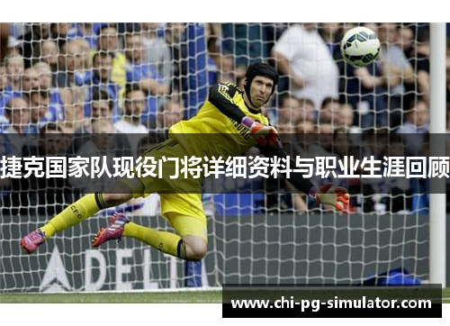 捷克国家队现役门将详细资料与职业生涯回顾