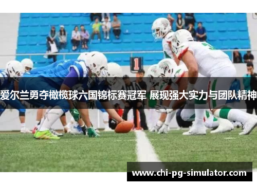 爱尔兰勇夺橄榄球六国锦标赛冠军 展现强大实力与团队精神